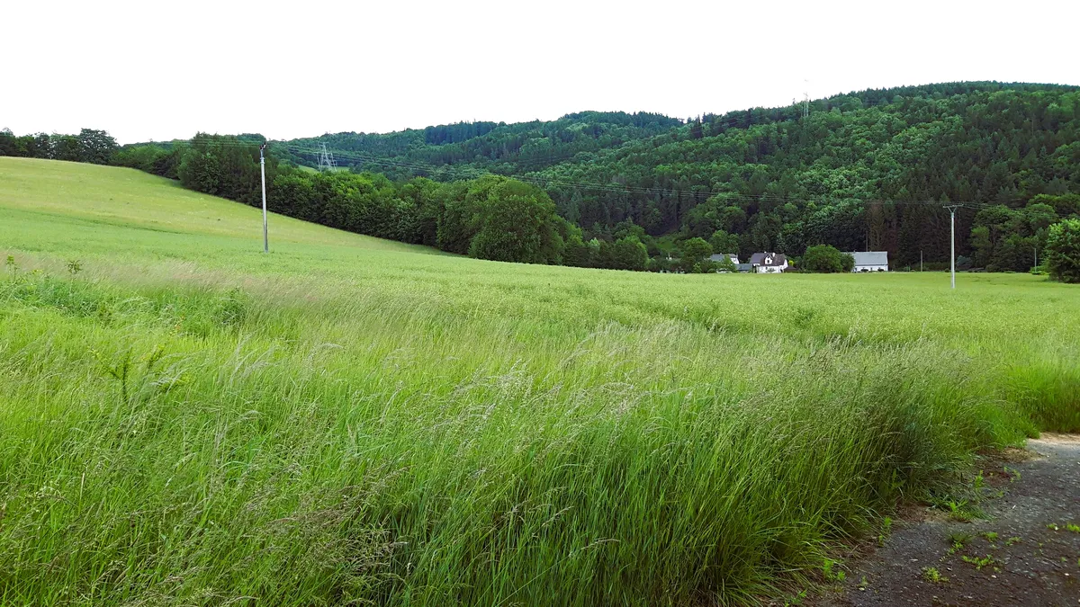 Prodej stavebního pozemku 1250 m²
